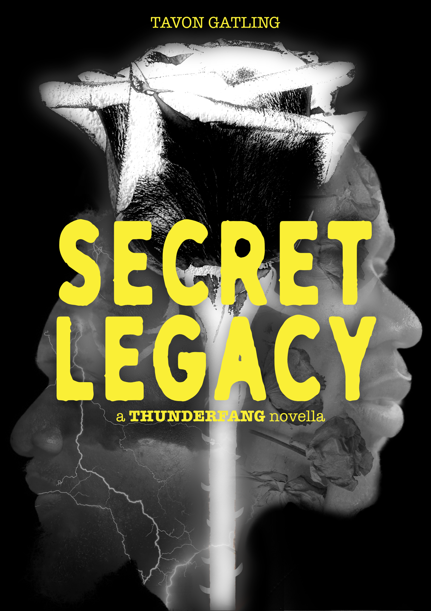 SECRET LEGACY: a THUNDERFANG novella